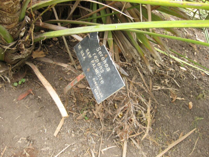 File:IMG 3933 hunt0904.jpg