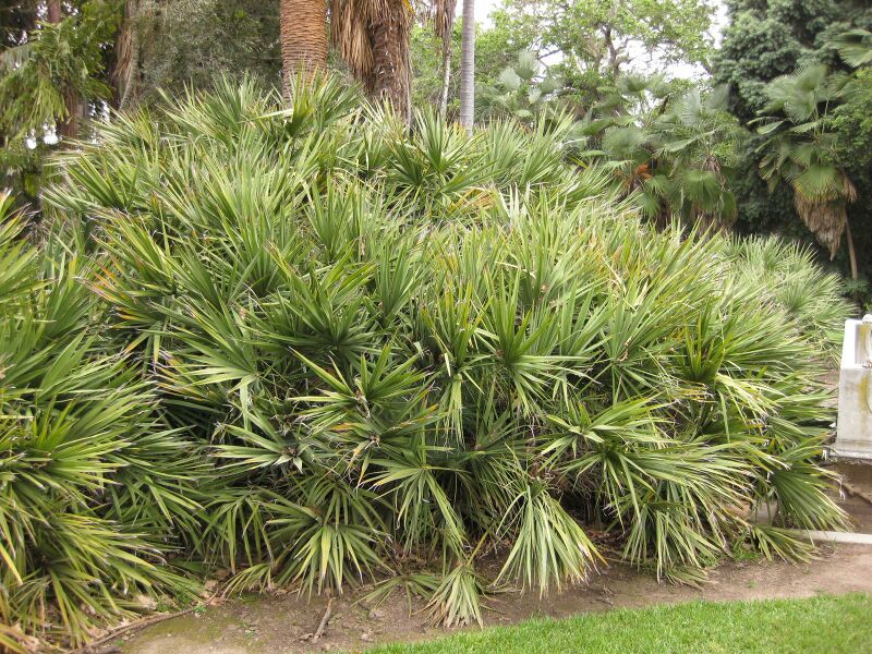 File:IMG 3936 hunt0904.jpg