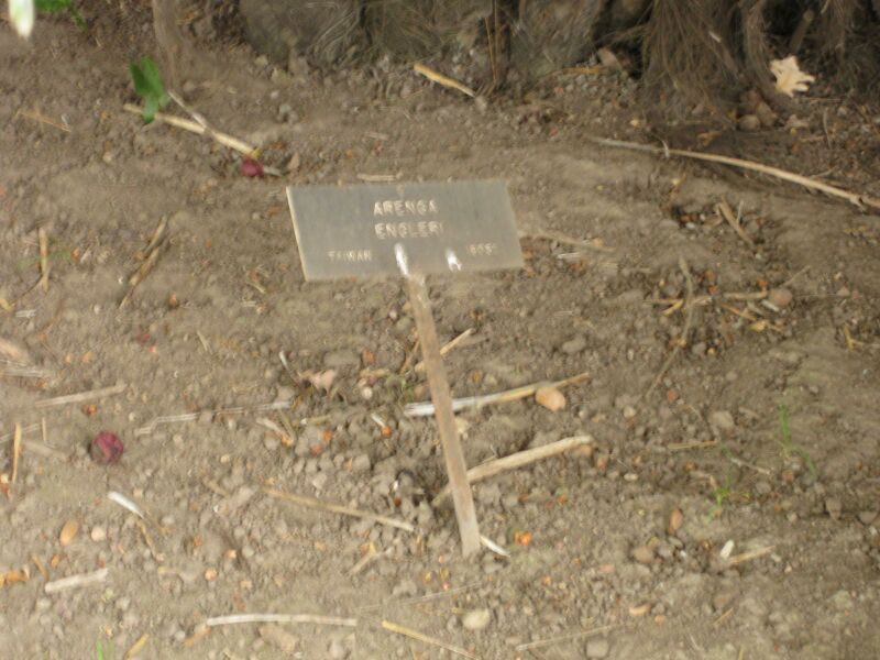 File:IMG 3941 hunt0904.jpg