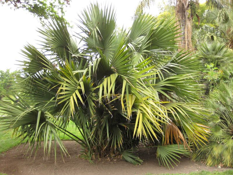 File:IMG 3942 hunt0904.jpg