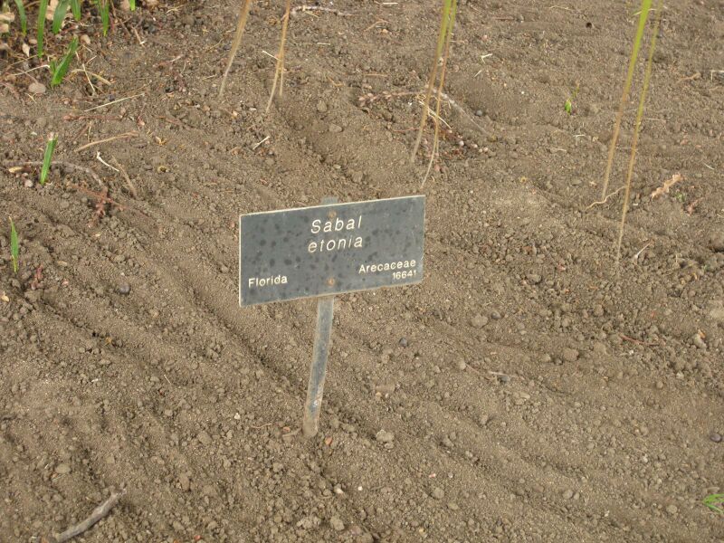 File:IMG 3944 hunt0904.jpg