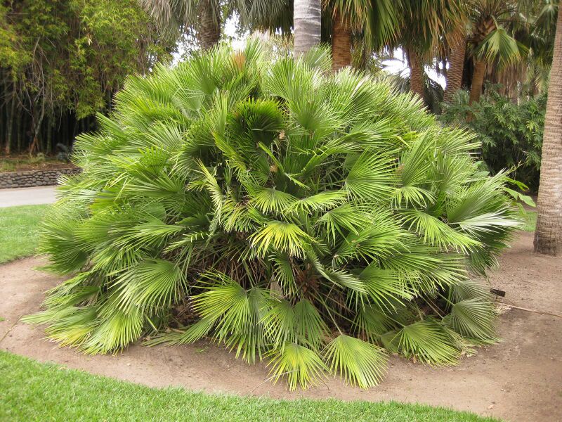 File:IMG 3945 hunt0904.jpg