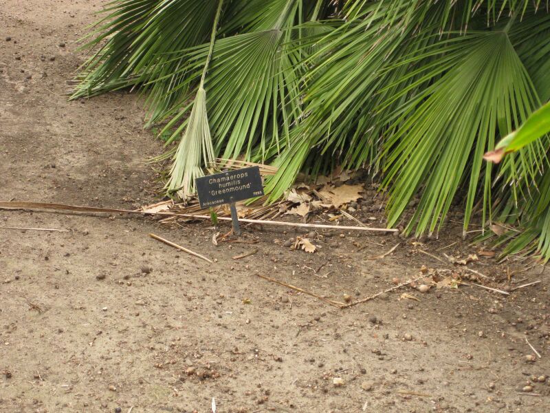 File:IMG 3946 hunt0904.jpg