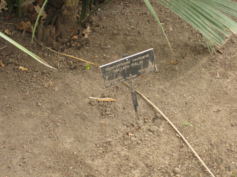 File:IMG 3949 hunt0904.jpg