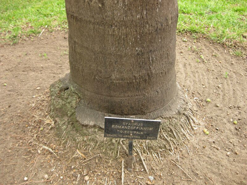 File:IMG 3952 hunt0904.jpg