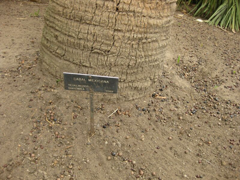 File:IMG 3956 hunt0904.jpg