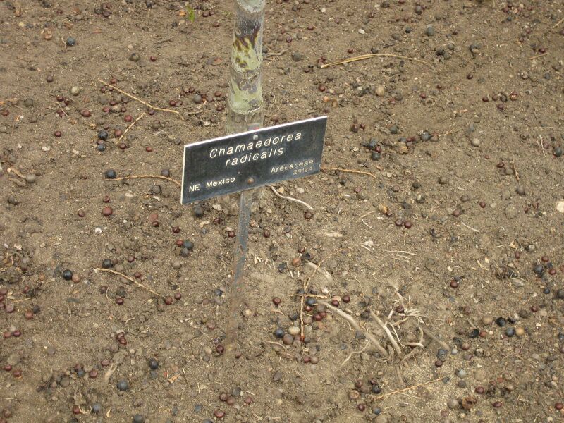 File:IMG 3958 hunt0904.jpg