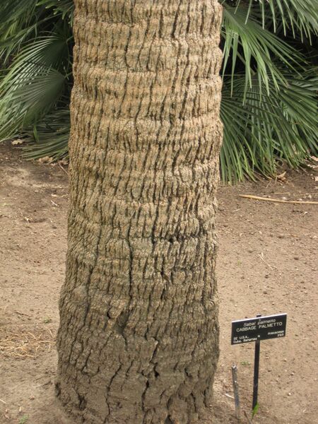 File:IMG 3961 hunt0904.jpg