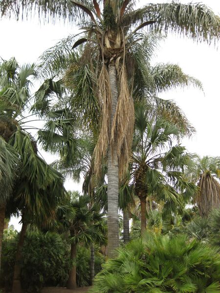 File:IMG 3962 hunt0904.jpg