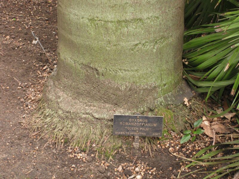 File:IMG 3964 hunt0904.jpg