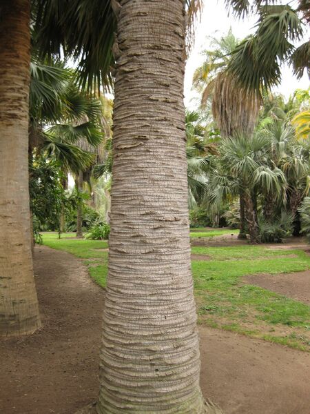 File:IMG 3966 hunt0904.jpg