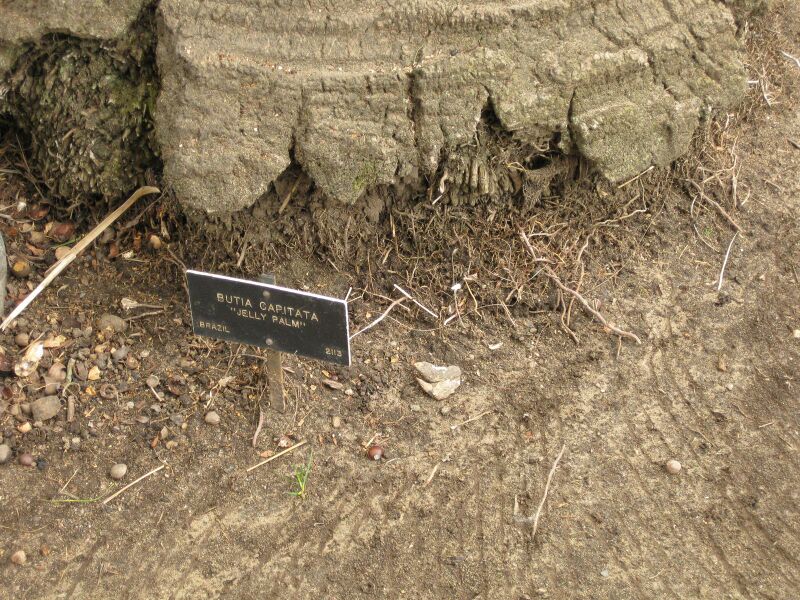 File:IMG 3967 hunt0904.jpg