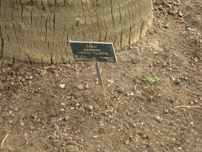 File:IMG 3970 hunt0904.jpg