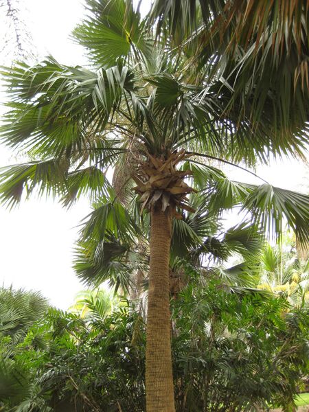 File:IMG 3971 hunt0904.jpg