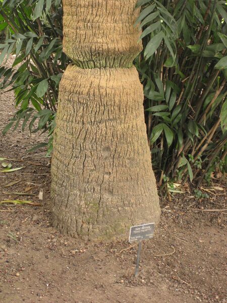 File:IMG 3972 hunt0904.jpg