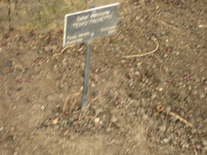 File:IMG 3973 hunt0904.jpg