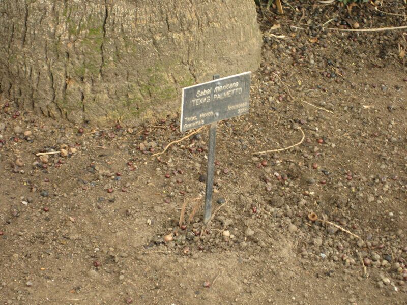 File:IMG 3974 hunt0904.jpg