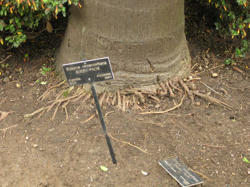 File:IMG 3978 hunt0904.jpg