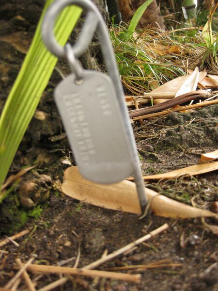 File:IMG 3980 hunt0904.jpg