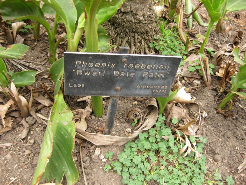 File:IMG 3983 hunt0904.jpg