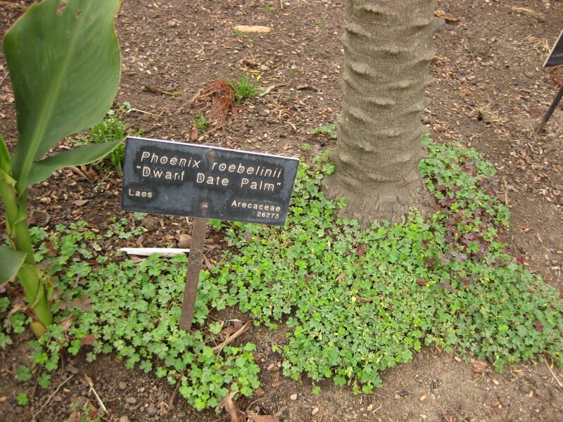 File:IMG 3985 hunt0904.jpg