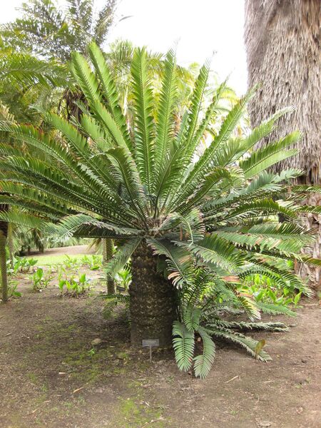 File:IMG 3986 hunt0904.jpg