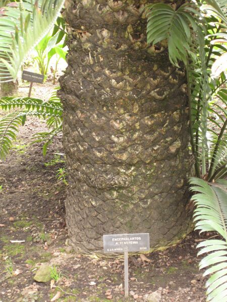 File:IMG 3987 hunt0904.jpg