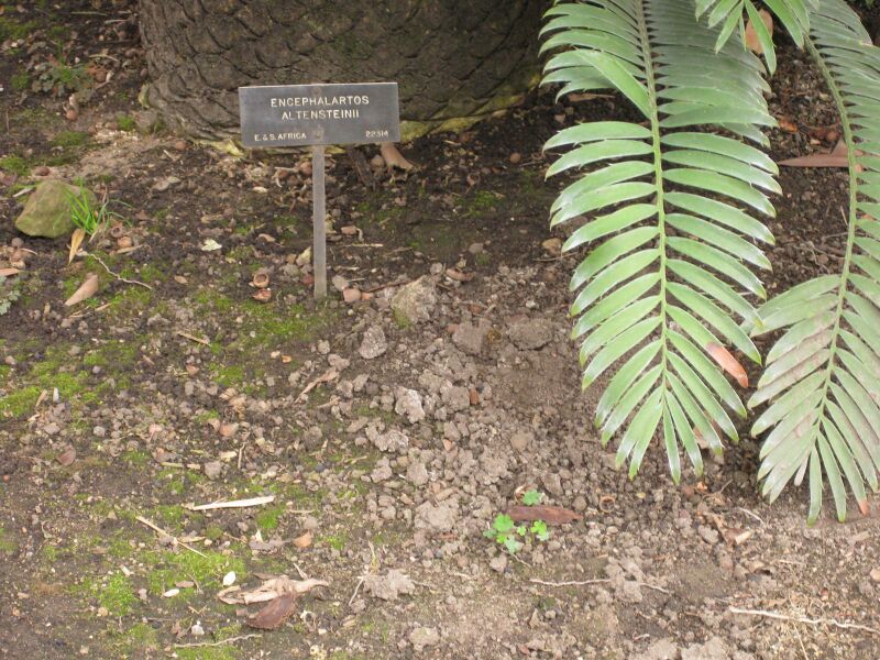 File:IMG 3988 hunt0904.jpg