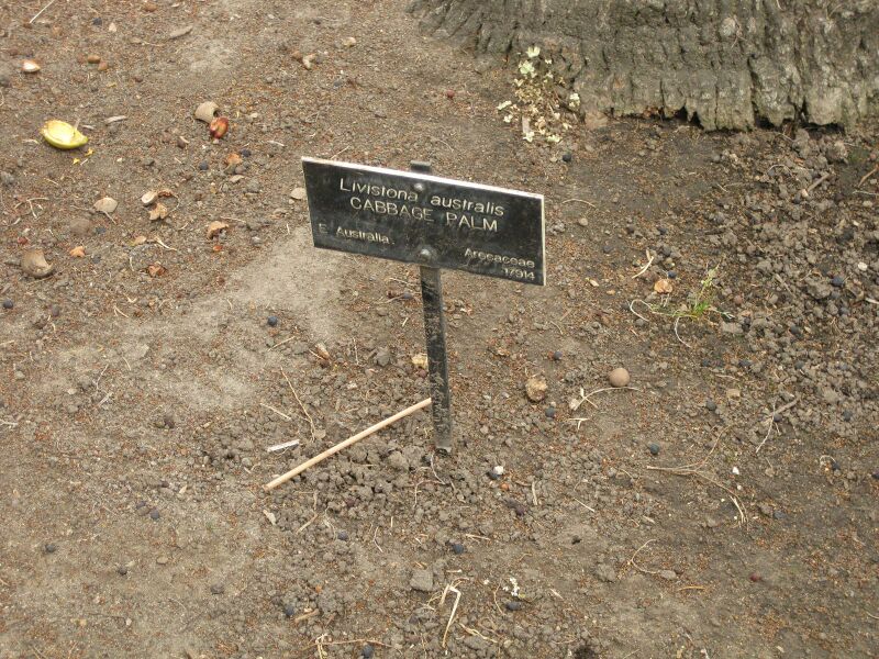 File:IMG 3991 hunt0904.jpg