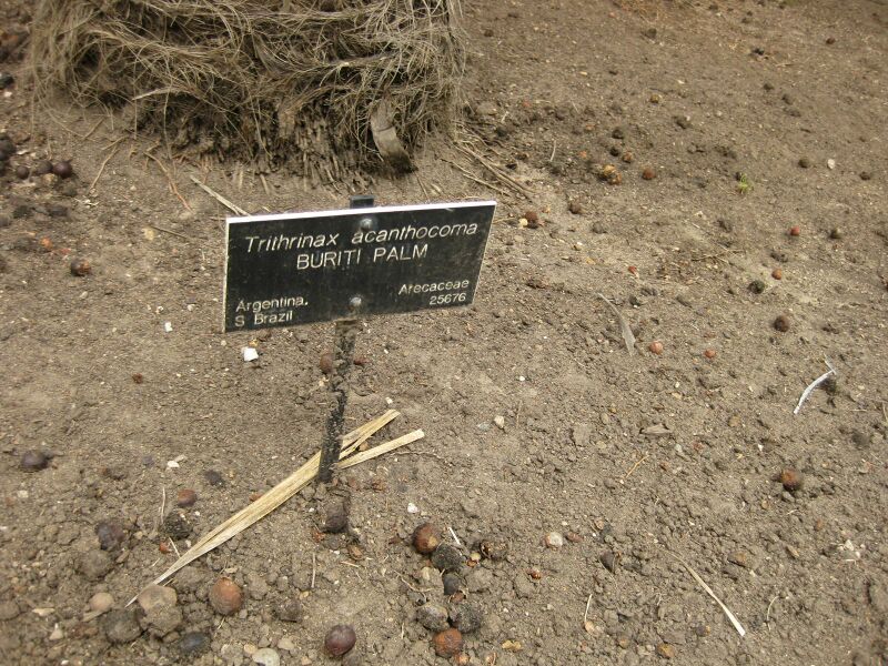 File:IMG 3994 hunt0904.jpg