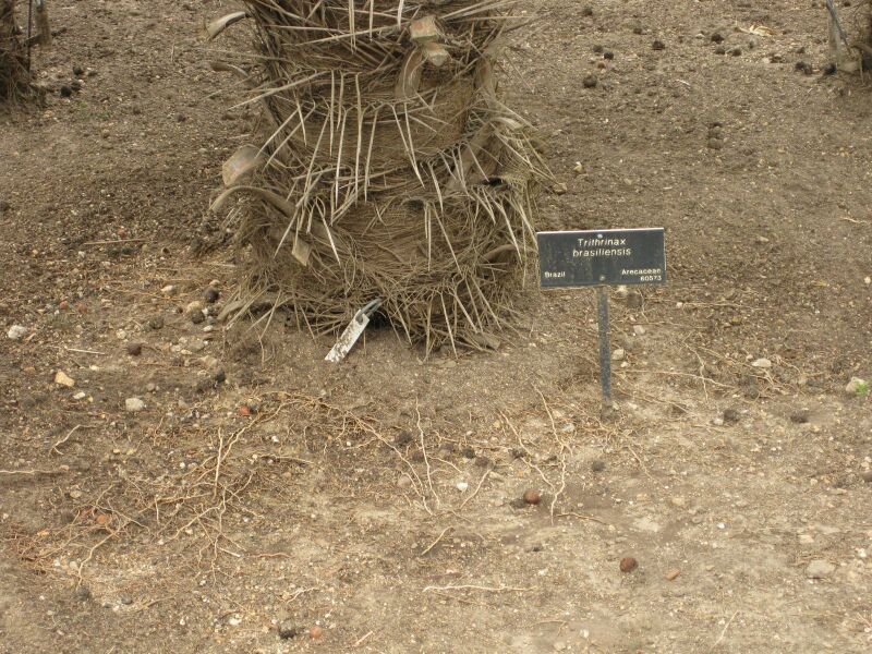 File:IMG 3996 hunt0904.jpg