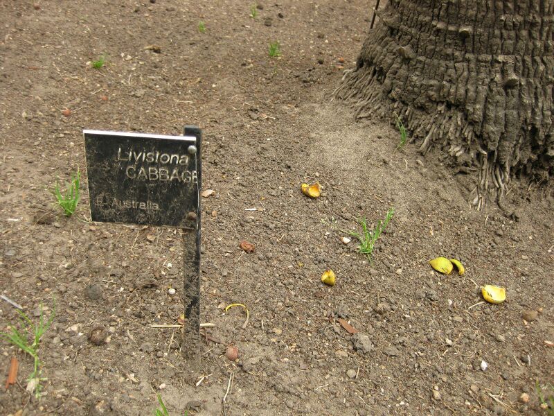 File:IMG 3998 hunt0904.jpg