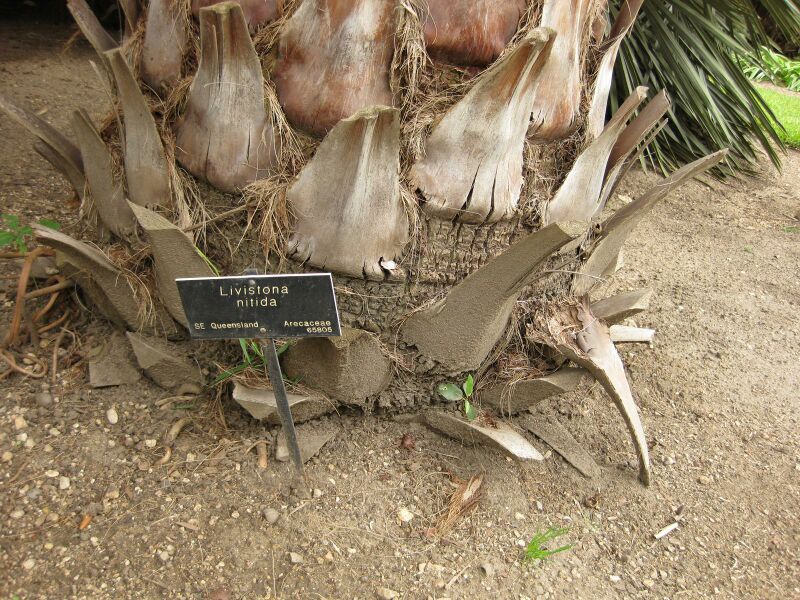 File:IMG 4004 hunt0904.jpg