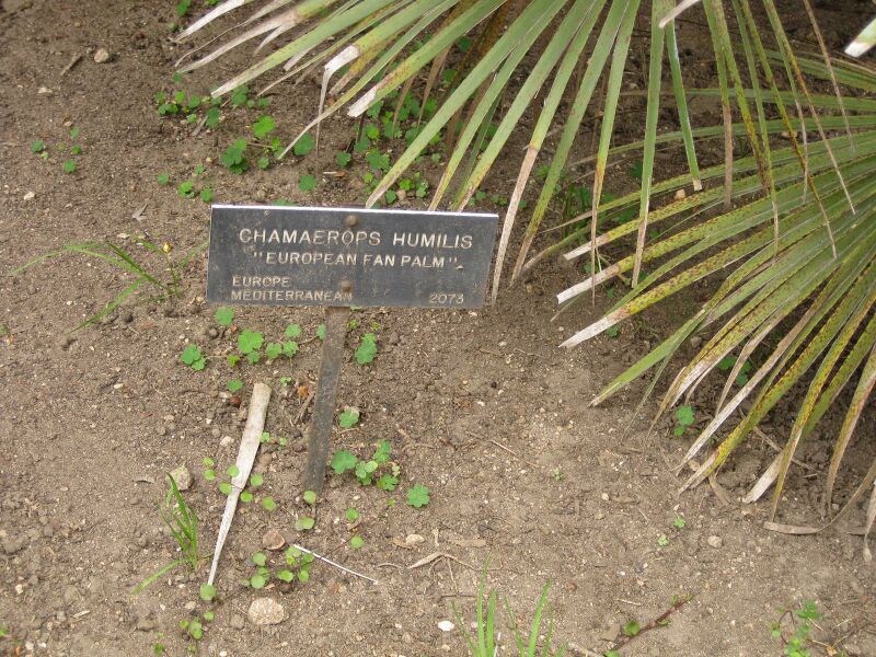 File:IMG 4006 hunt0904.jpg