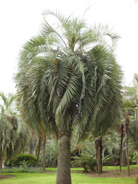 File:IMG 4010 hunt0904.jpg