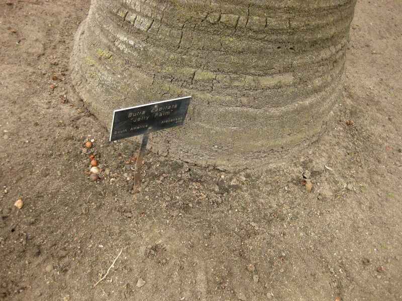 File:IMG 4011 hunt0904.jpg