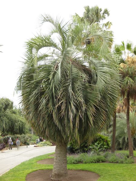 File:IMG 4012 hunt0904.jpg