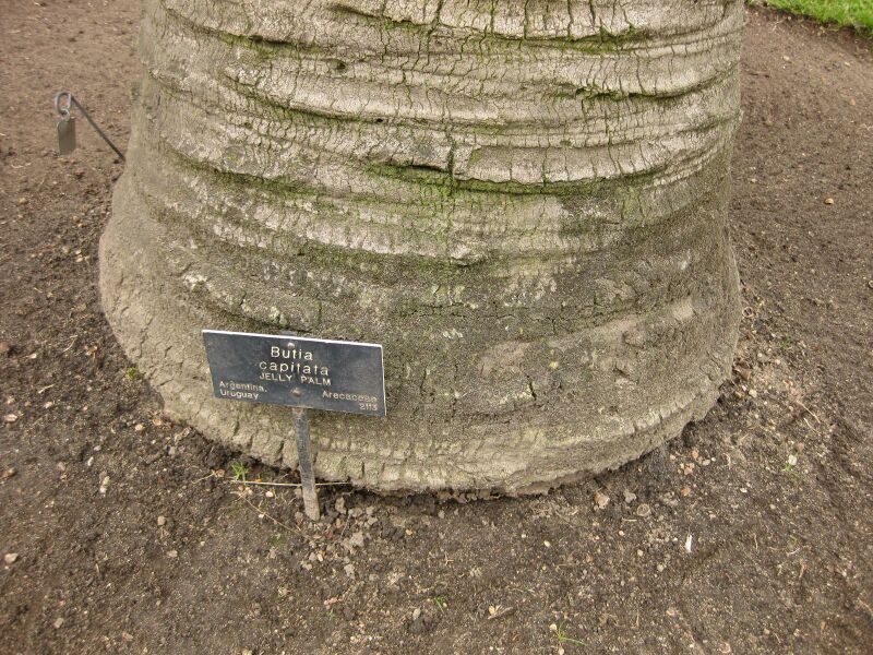 File:IMG 4014 hunt0904.jpg