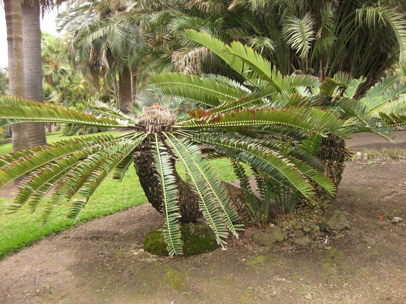 File:IMG 4015 hunt0904.jpg