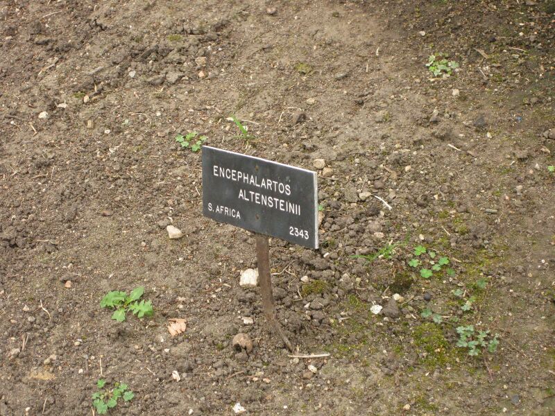 File:IMG 4016 hunt0904.jpg