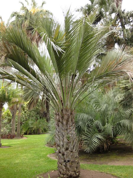 File:IMG 4017 hunt0904.jpg