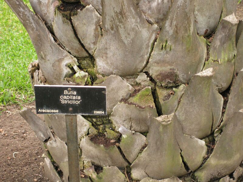 File:IMG 4019 hunt0904.jpg