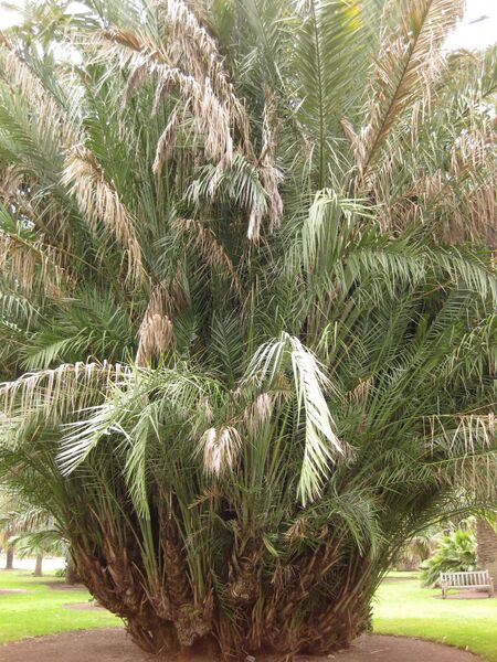 File:IMG 4020 hunt0904.jpg