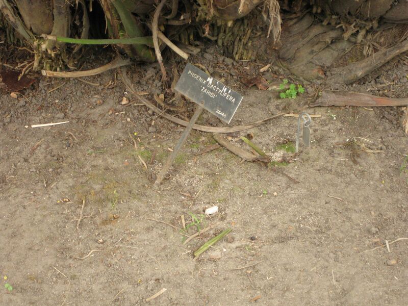 File:IMG 4022 hunt0904.jpg