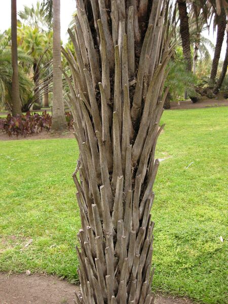 File:IMG 4024 hunt0904.jpg