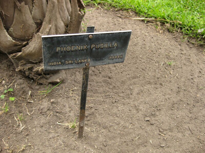 File:IMG 4025 hunt0904.jpg