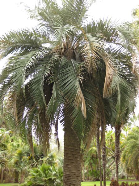 File:IMG 4028 hunt0904.jpg