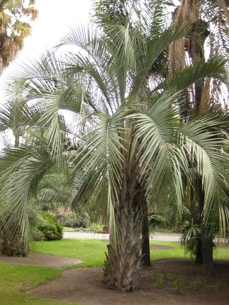 File:IMG 4030 hunt0904.jpg