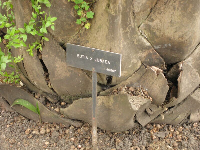 File:IMG 4032 hunt0904.jpg