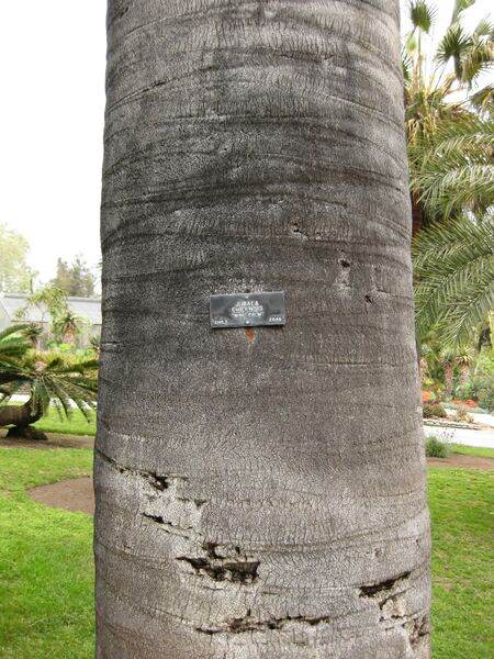 File:IMG 4034 hunt0904.jpg